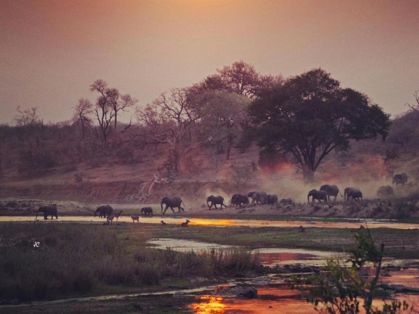 Croc Orvyll'S Kruger Lodge Marloth Park Εξωτερικό φωτογραφία