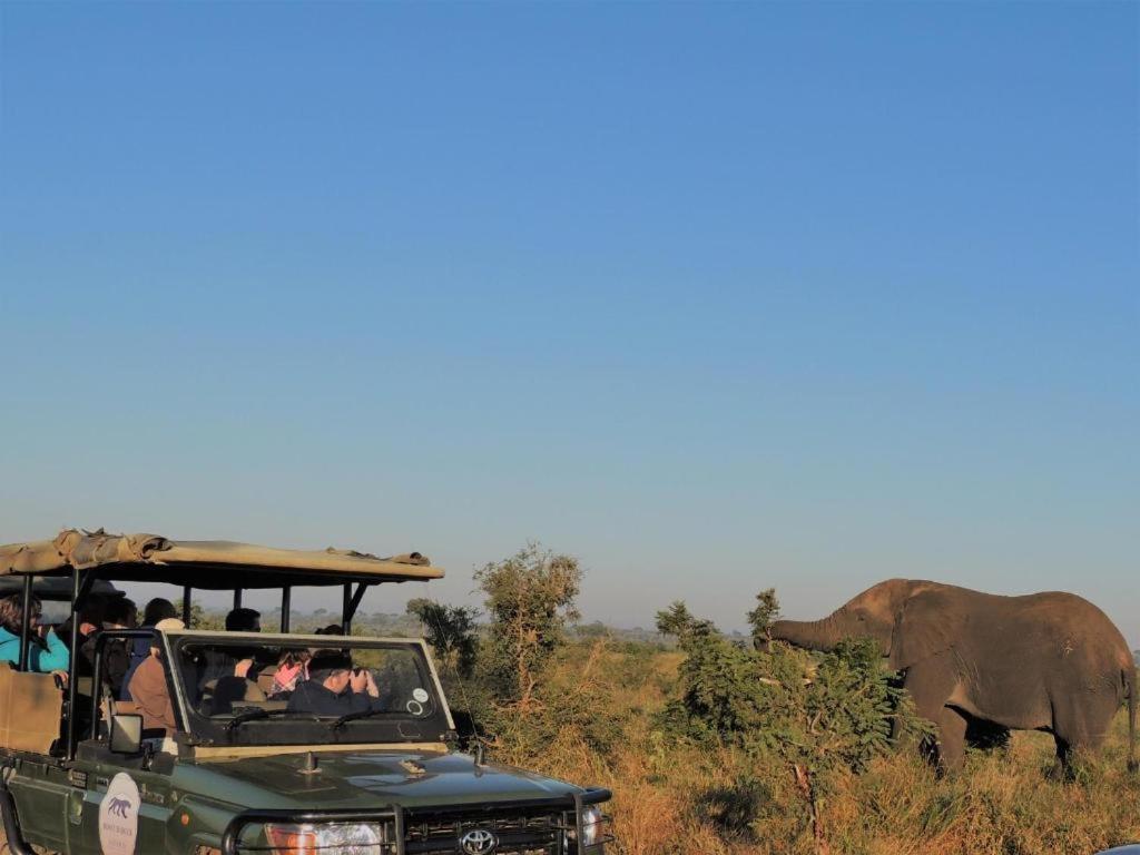Croc Orvyll'S Kruger Lodge Marloth Park Εξωτερικό φωτογραφία