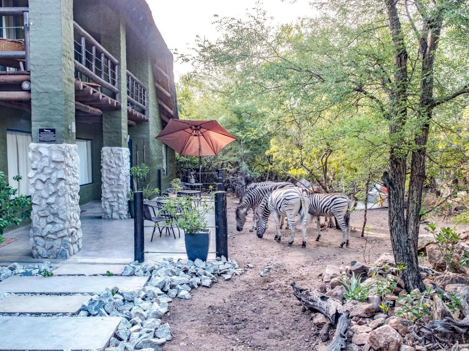 Croc Orvyll'S Kruger Lodge Marloth Park Εξωτερικό φωτογραφία
